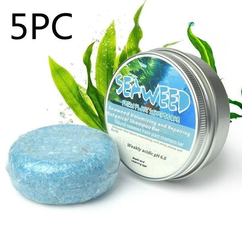 Ginger Skin Care Combo: Shampoo, Conditioner, Oil & Soap - Zentelle Beauty